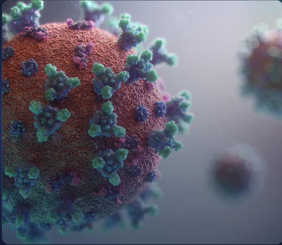 American Society for Virology (ASV) 2027 image